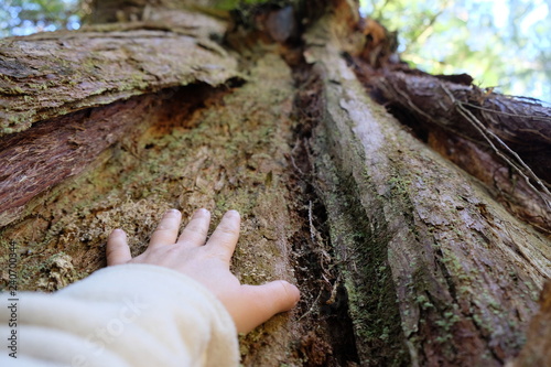 Hand of Nature