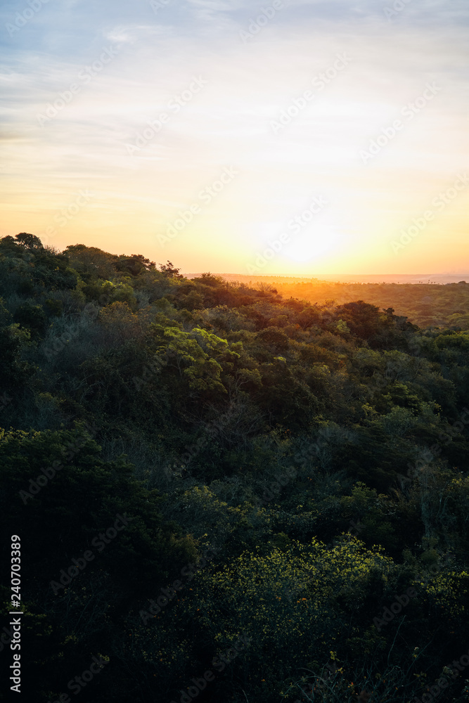 Sunset over a forest in Brazil