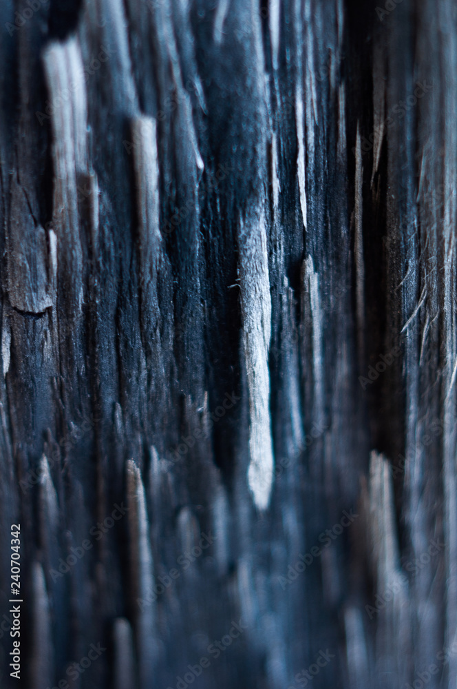 Background from texture of damaged wood closeup Background from texture of damaged wood closeup