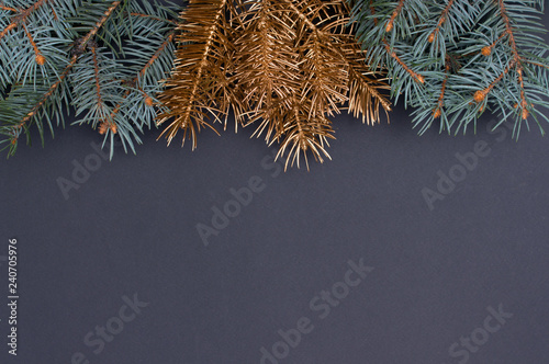 Creative decoration pattern with green and golden Christmas tree branches at the top. Concept