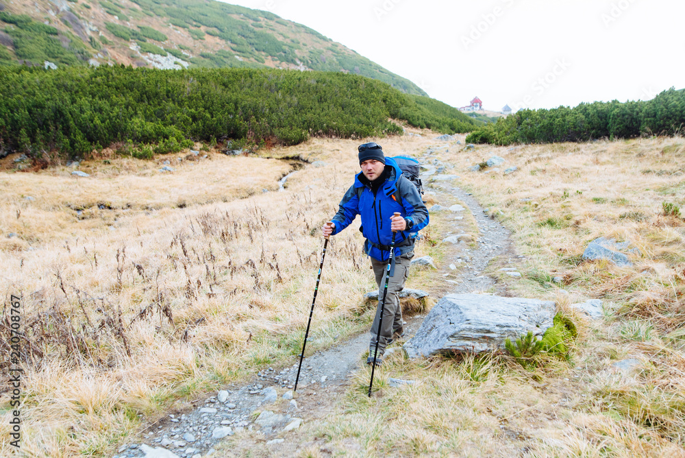 The man goes to the mountain with sticks for trekking in a wonderful autumn time