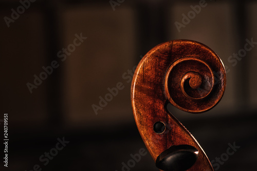 violin scroll side view