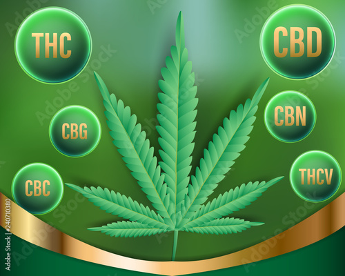Chemical of natural Marijuana,Cannabinoids in cannabis