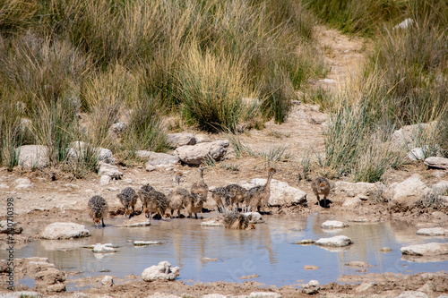 2018-10 Namibia