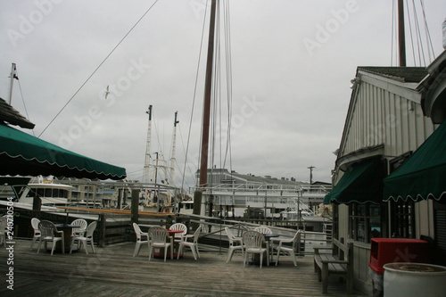 yachts in marina