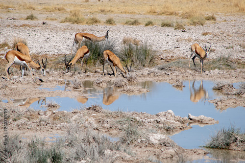 2018-10 Namibia