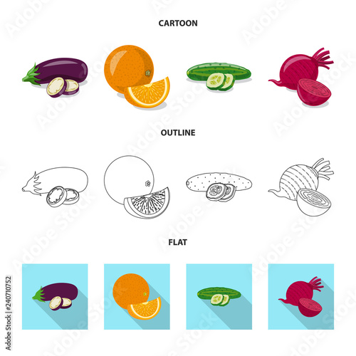 Isolated object of vegetable and fruit symbol. Set of vegetable and vegetarian stock vector illustration.