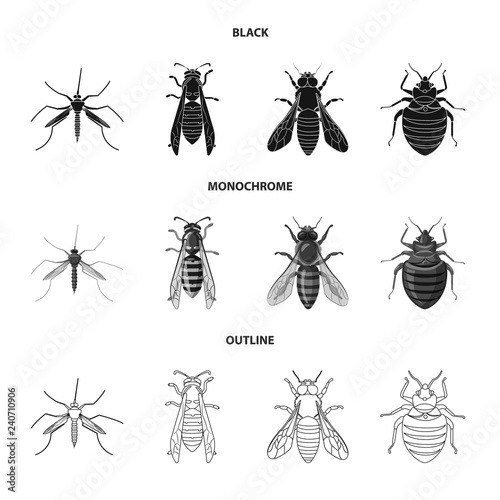 Vector illustration of insect and fly sign. Collection of insect and element vector icon for stock.