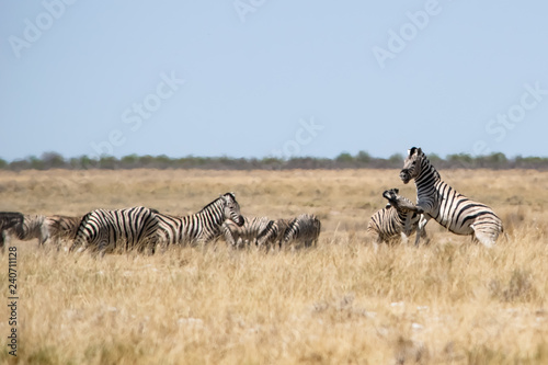 2018-10 Namibia