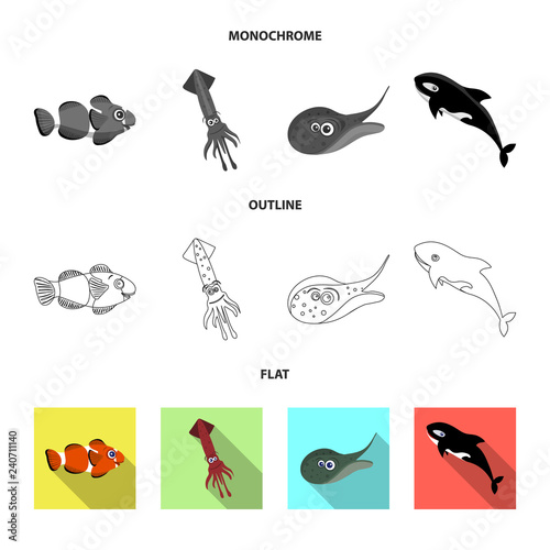 Vector design of sea and animal logo. Collection of sea and marine stock vector illustration.