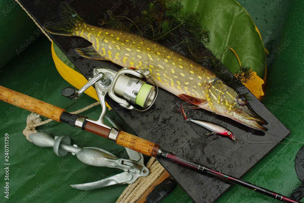 Pike, spinning rod, reel and bait Stock Photo
