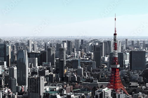 Canvas Print Tokyo Tower and Tokyo landscape