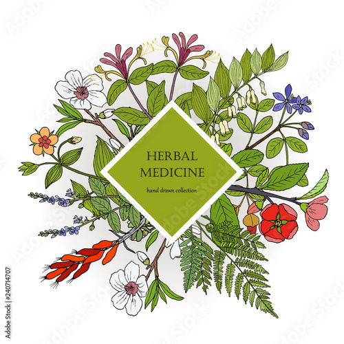 Health natural care, vintage collection