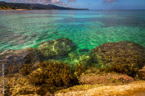 Jamaican Coastal View photo