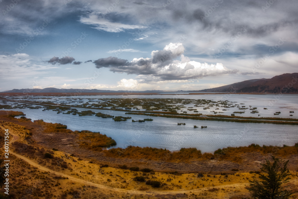Titicaca lake with yellow shores