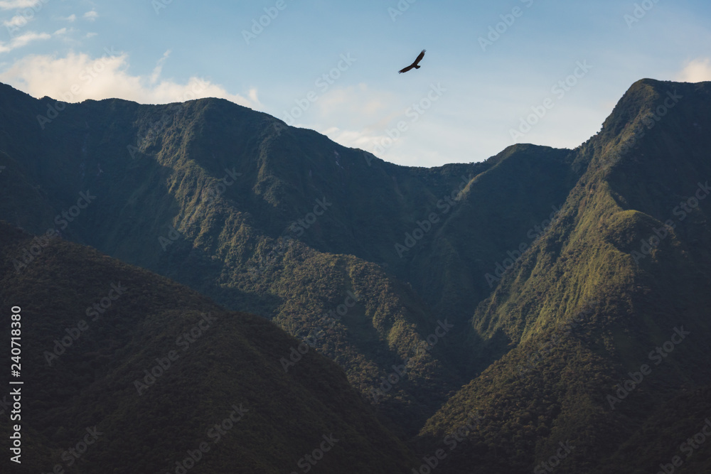 Soaring raptor above rugged mountain peaks
