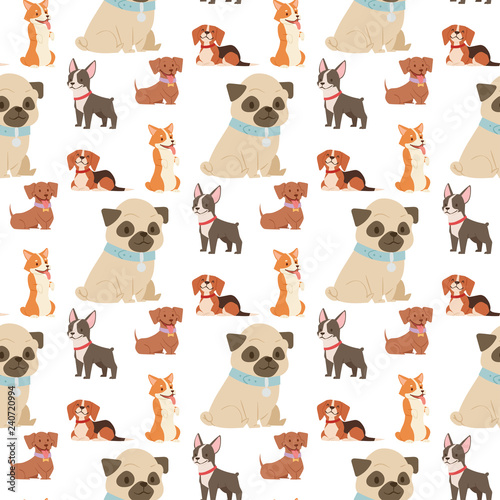 Fototapeta Naklejka Na Ścianę i Meble -  Puppy cute playing dogs characters funny purebred comic happy mammal doggy breed seamless pattern background vector illustration.