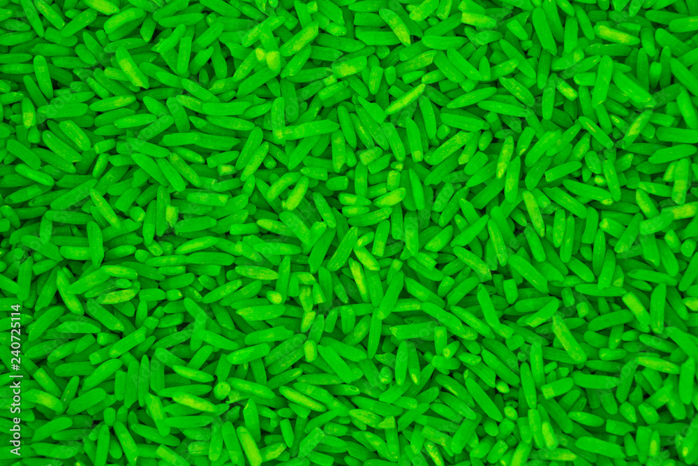 Green rice from above view for texture backgrounds Green rice from above view for texture backgrounds