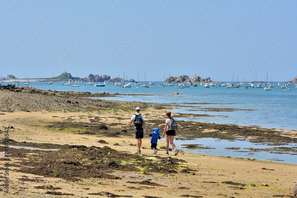 Un couple et un petit garçon qui se promènent sur le sable dans la baie de Pellinec à Penvénan en Bretagne. France