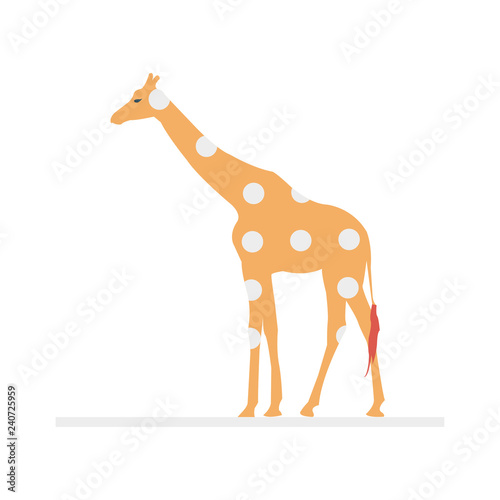 giraffe   animal   circus