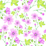 Floral summer background, seamless pattern. Wild mallow, lilac flower, flowering weed. Drawing with colored pencils