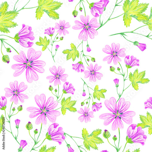 Floral summer background  seamless pattern. Wild mallow  lilac flower  flowering weed. Drawing with colored pencils