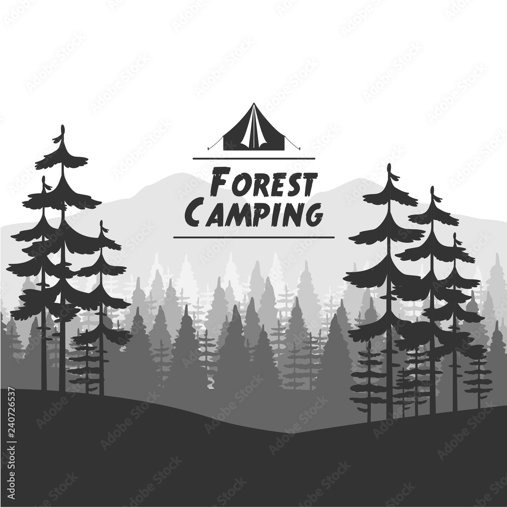 Fototapeta premium Forest camping background