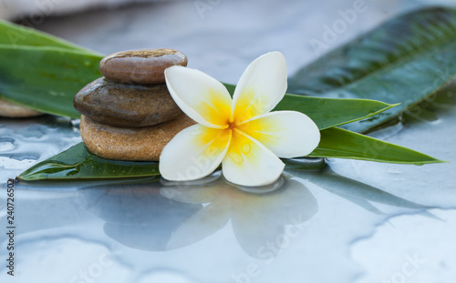 Stones and flower for spa treatment concept