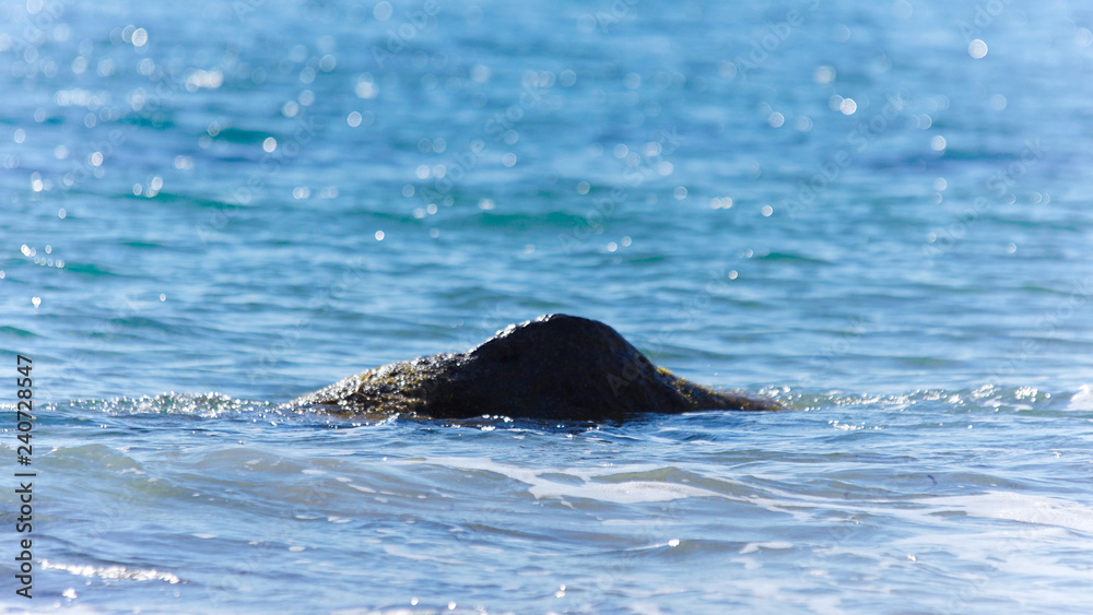 Fototapeta premium Mer et roches dans la mer Egée