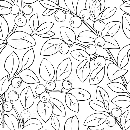bilberry vector pattern