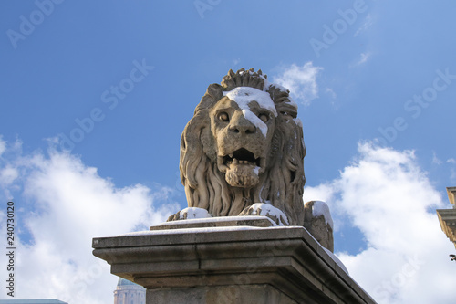 Eine Löwen Skulptur auf der (Szechenyi) Ketten Brücke in Budapest im winter