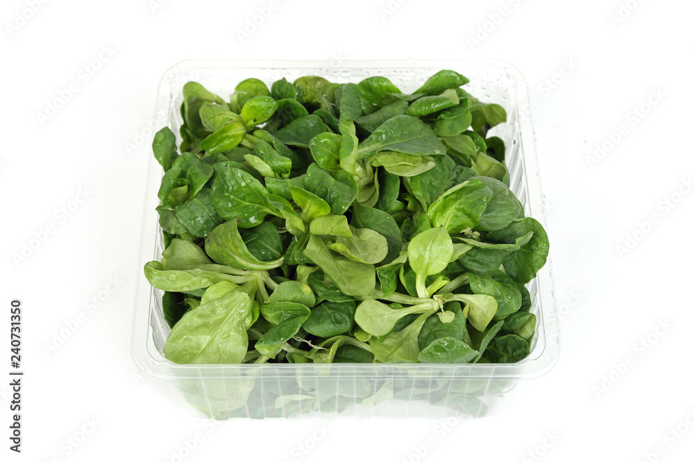 Eine Portion Ackersalat