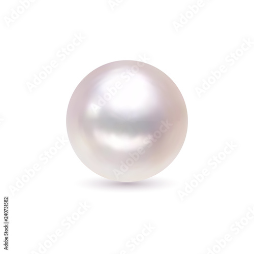 Vector Illustration. Shiny natural white pearl with light effects