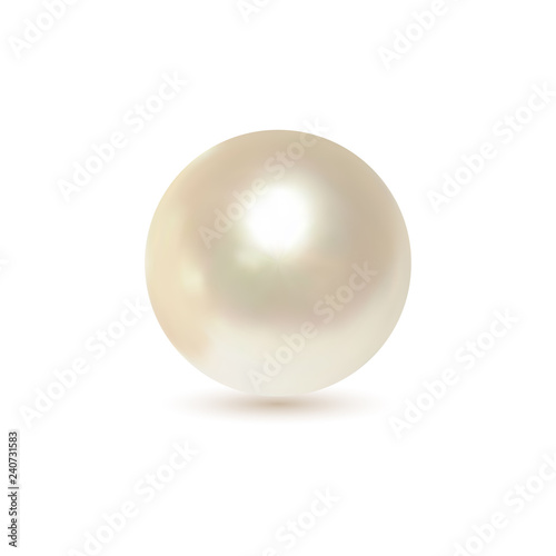 Vector Illustration. Shiny natural white pearl with light effects