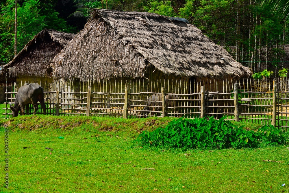 Hut made up of straw