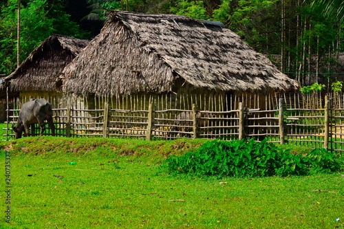 Hut made up of straw © atulrichardson