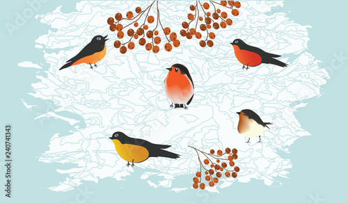 Group of bullfinches and bunches of mountain ash - winter abstract light background - vector illustration