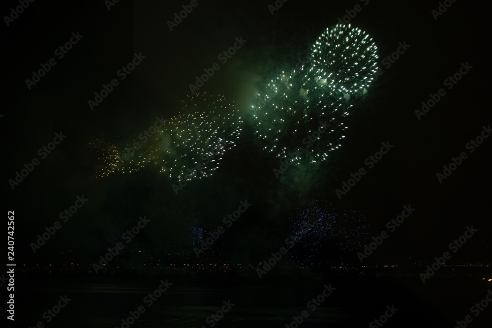 fireworks in the night sky fireworks in the night sky