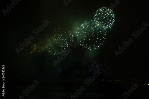 Fototapeta Naklejka Na Ścianę i Meble -  fireworks in the night sky