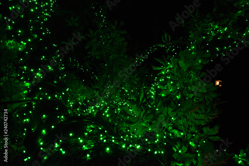 Christmas lights on a tree © Josip