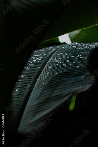 abstract background with lots of light spots