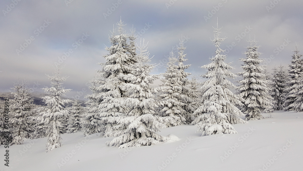 Winter landscape in the mountains