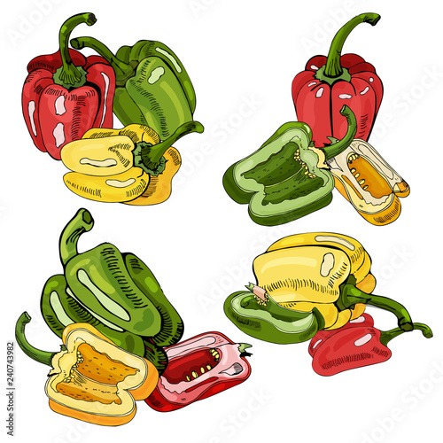 Collection of  green, yellow and red  hand drawn sweet  peppers. Ink and colored sketch.Whole and sliced elements.