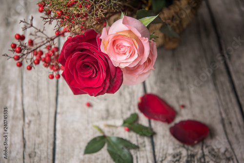 Beautiful red roses