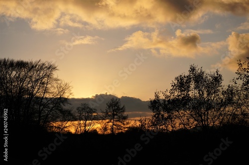 Fototapeta Naklejka Na Ścianę i Meble -  Roter Sonnenuntergang hinter Bäumen mit Wolken