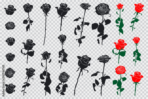 Roses black and colored silhouettes. Vector flowers icons set isolated on transparent background.