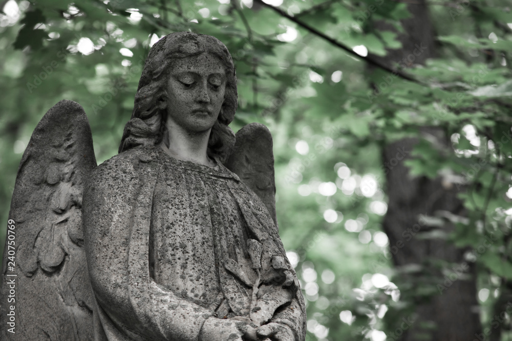 The Sorrowful Angel.The face of a grieving angel woman, space for text