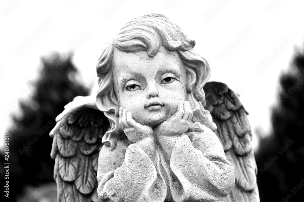 Portrait of angel in the winter Portrait of angel in the winter