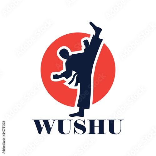 wushu with a weapon logo isolated on white background. vector illustration