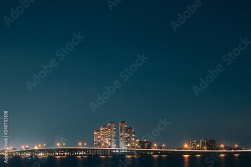 Obraz na plátně Fort Myers at night